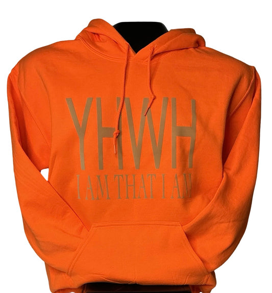 Fall into Orange 3:16 Hoodie